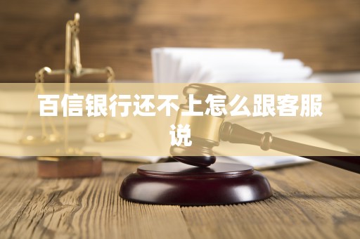 百信银行还不上怎么跟客服说