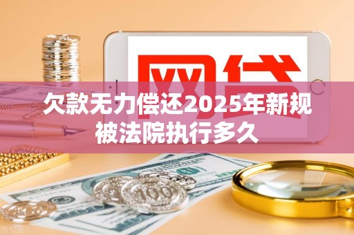 欠款无力偿还2025年新规被法院执行多久