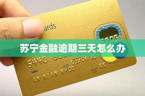 苏宁金融逾期三天怎么办