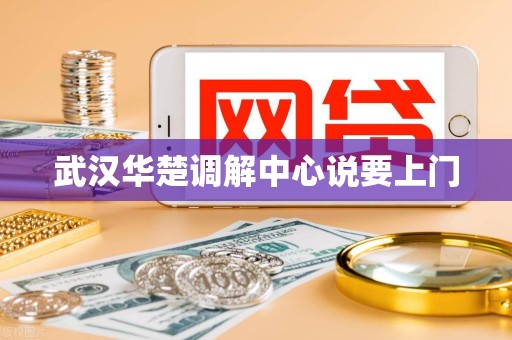 武汉华楚调解中心说要上门