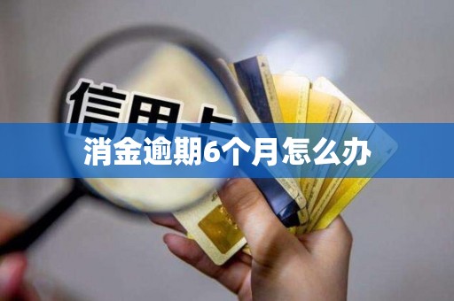 消金逾期6个月怎么办