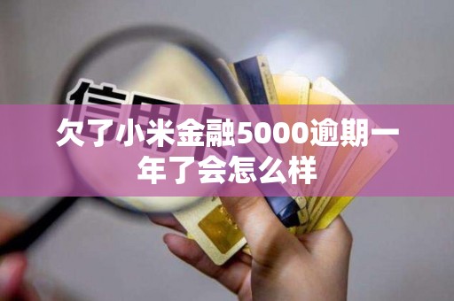 欠了小米金融5000逾期一年了会怎么样