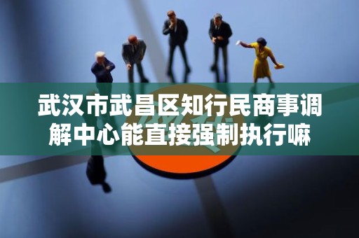 详细阅读:武汉市武昌区知行民商事调解中心能直接强制执行嘛 武汉市武昌区知行民商事调解中心能直接强制执行嘛