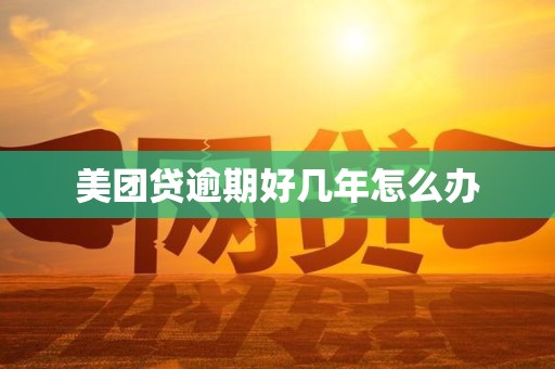 详细阅读:美团贷逾期好几年怎么办 美团贷逾期好几年怎么办