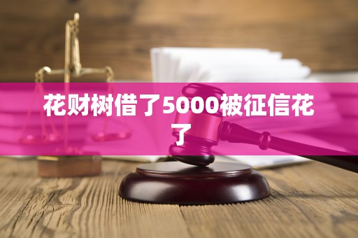 详细阅读:花财树借了5000被征信花了 花财树借了5000被征信花了