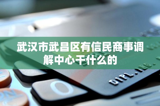 武汉市武昌区有信民商事调解中心干什么的