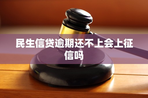 民生信贷逾期还不上会上征信吗