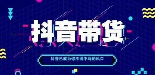 京东企业金采如果套出来会怎么样,京东企业金采的潜力与挑战