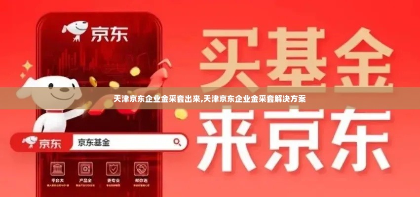 天津京东企业金采套出来,天津京东企业金采套解决方案