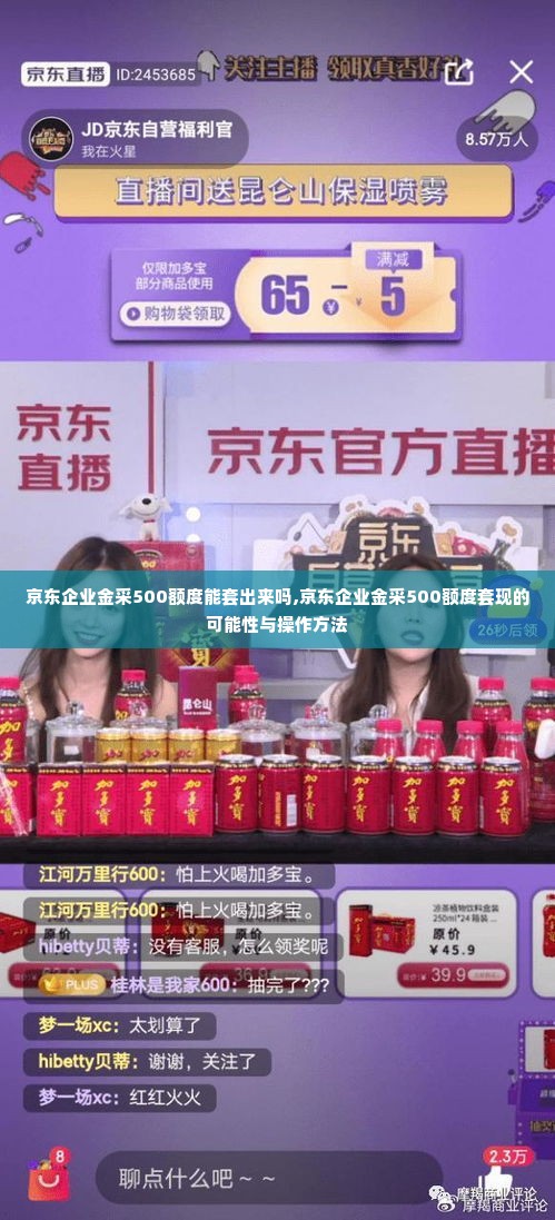京东企业金采500额度能套出来吗,京东企业金采500额度套现的可能性与操作方法