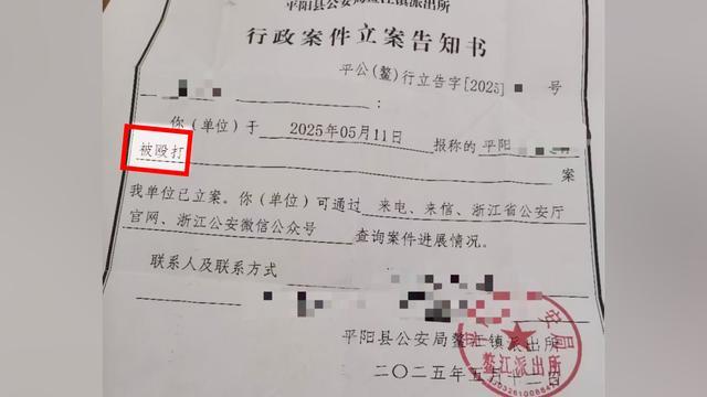“柴怼怼”和他的“假宝玉”丨大象深度