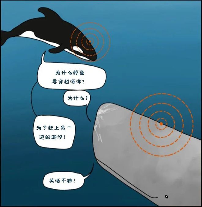 进化路上，谁偷走了猴子的“仙丹”？