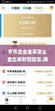 京东企业金采怎么套出来秒回信息,揭秘京东企业金采——如何秒速获取信息