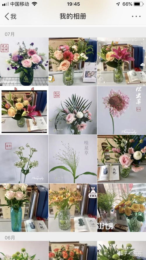 微店放心花套出来方式,微店放心花套出来方式