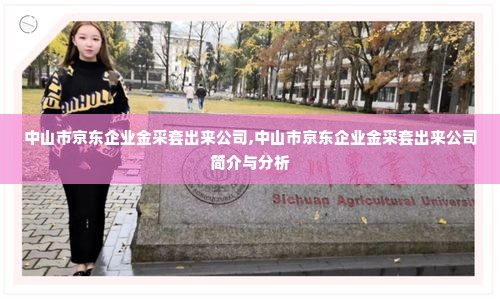 中山市京东企业金采套出来公司,中山市京东企业金采套出来公司简介与分析