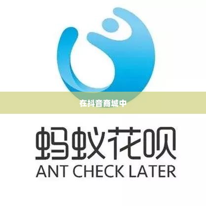 抖音月付怎么套出来商家,揭秘抖音月付的套现之道