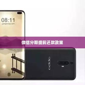 微信分期额度怎么提现，具体步骤详细为大家讲解