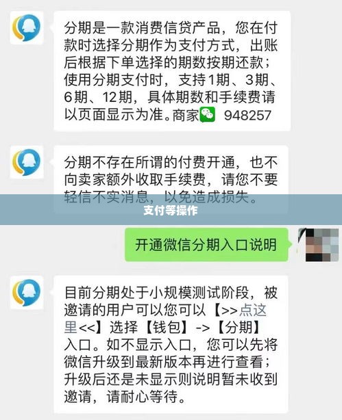 微信分付额度怎么提现，实用操作方法及流程步骤