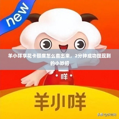 羊小咩享花卡额度怎么套出来，2分钟成功提现到的小妙招