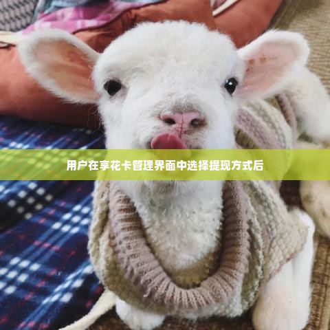 羊小咩享花卡额度怎么套出来，商家分享提现案例