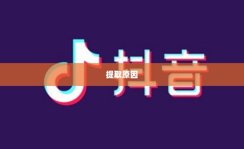 抖音月付套出来平台有哪些,探索抖音月付套现的多样平台