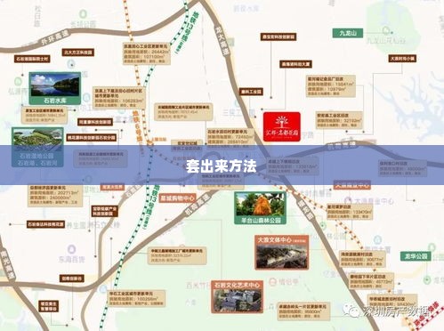 微店放心花套出来怎么套的出来,微店放心花套出来怎么套的出来
