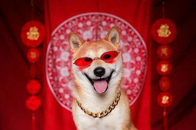 宠物过大年，3000亿市场卖爆了