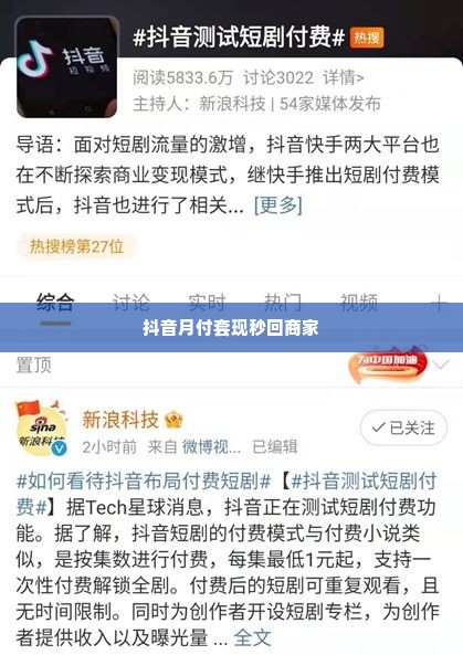抖音月付套出来秒回商家,抖音月付套出来秒回商家，揭秘背后的利益链与风险