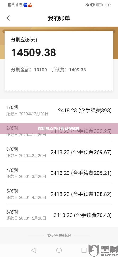 微店放心花可以套出来的商品有哪些,微店放心花，探索可套现商品的多样性