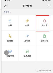微店放心花套出来怎么弄到微信,微信微店放心花套出来怎么弄到？
