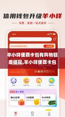 羊小咩便荔卡包有购物额度提现,羊小咩便荔卡包——购物额度与提现的便捷体验