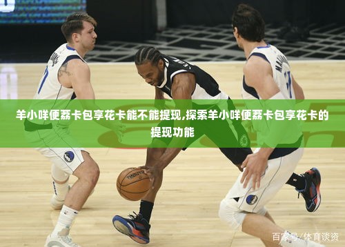 羊小咩便荔卡包享花卡能不能提现,探索羊小咩便荔卡包享花卡的提现功能