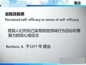 转转分期怎么自己套出来啊,转转分期的自我套现技巧与风险管理
