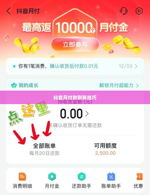 抖音月付怎么套出来秒到出来,揭秘抖音月付如何秒到账，教你轻松实现资金自由