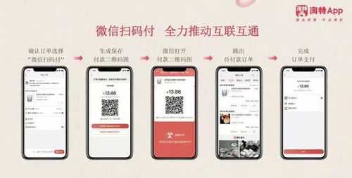 抖音月付扫码套出来怎么操作,抖音月付扫码套现操作指南