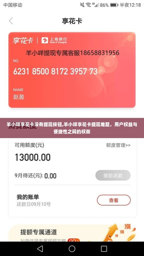 羊小咩享花卡没有提现按钮,羊小咩享花卡提现难题，用户权益与便捷性之间的权衡