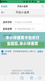 羊小咩便荔卡包支付宝提现,羊小咩便荔卡包支付宝提现流程与优势分析