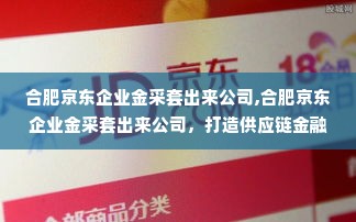 合肥京东企业金采套出来公司,合肥京东企业金采套出来公司，打造供应链金融新生态