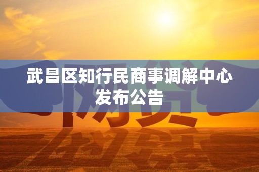 武昌区知行民商事调解中心发布公告
