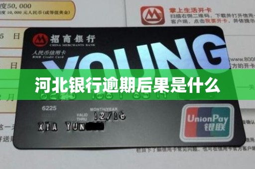 河北银行逾期后果是什么