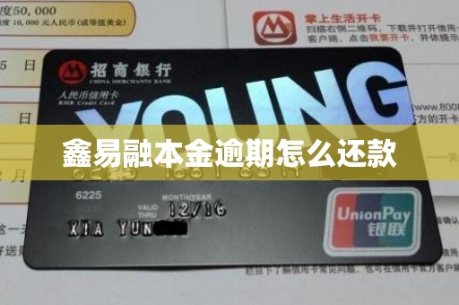 鑫易融本金逾期怎么还款