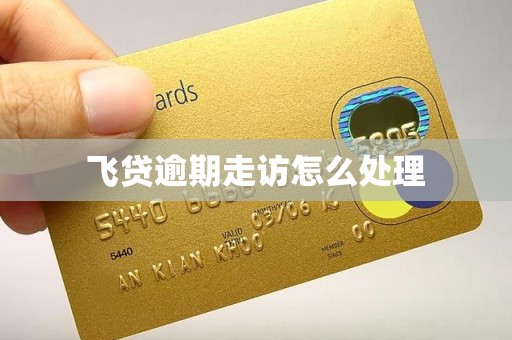 飞贷逾期走访怎么处理