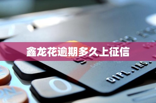 鑫龙花逾期多久上征信