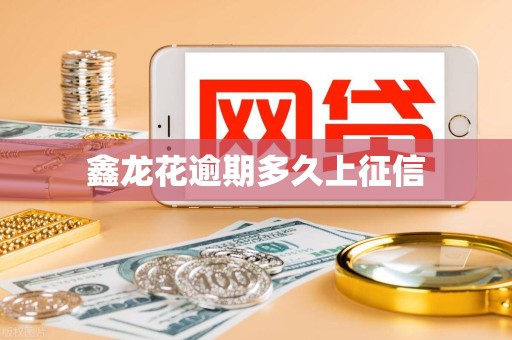 鑫龙花逾期多久上征信
