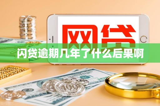 闪贷逾期几年了什么后果啊