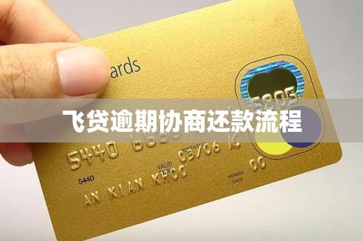 飞贷逾期协商还款流程