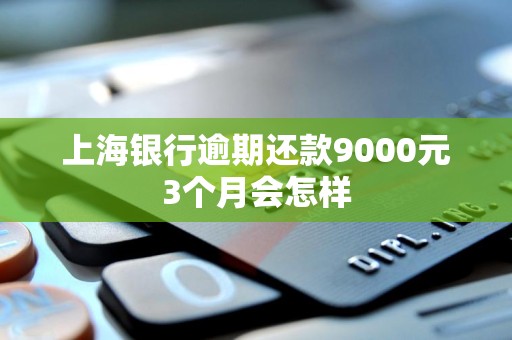 上海银行逾期还款9000元3个月会怎样