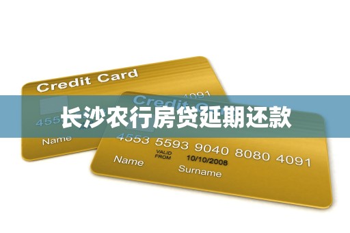 长沙农行房贷延期还款