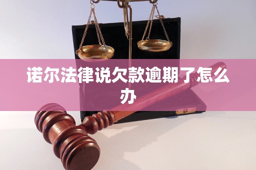 诺尔法律说欠款逾期了怎么办