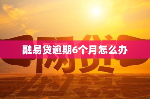 融易贷逾期6个月怎么办